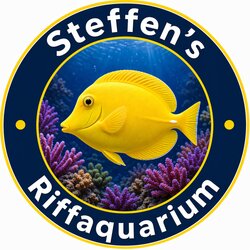 Pflegeroutine mit Testkits und Dosierpumpen am Aquarium